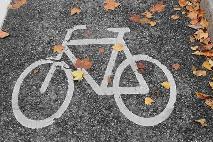 Hobbels in een fietspad door boomwortels, val oneffenheid fietspad, eenzijdig ongeval fietser door bobbels