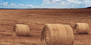 Uitleg polisvoorwaarden Werk- en Landbouwmaterieelverzekering, WLM-polis, Gerechtshof Den Haag 17 februari 2026, ECLI:NL:GHDHA:2026:239