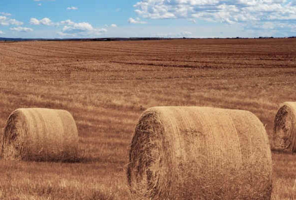 Uitleg polisvoorwaarden Werk- en Landbouwmaterieelverzekering, WLM-polis, Gerechtshof Den Haag 17 februari 2026, ECLI:NL:GHDHA:2026:239